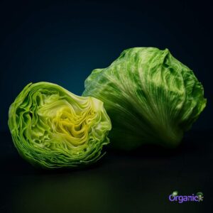 Organic Lettuce - Iceberg (350g) Australia