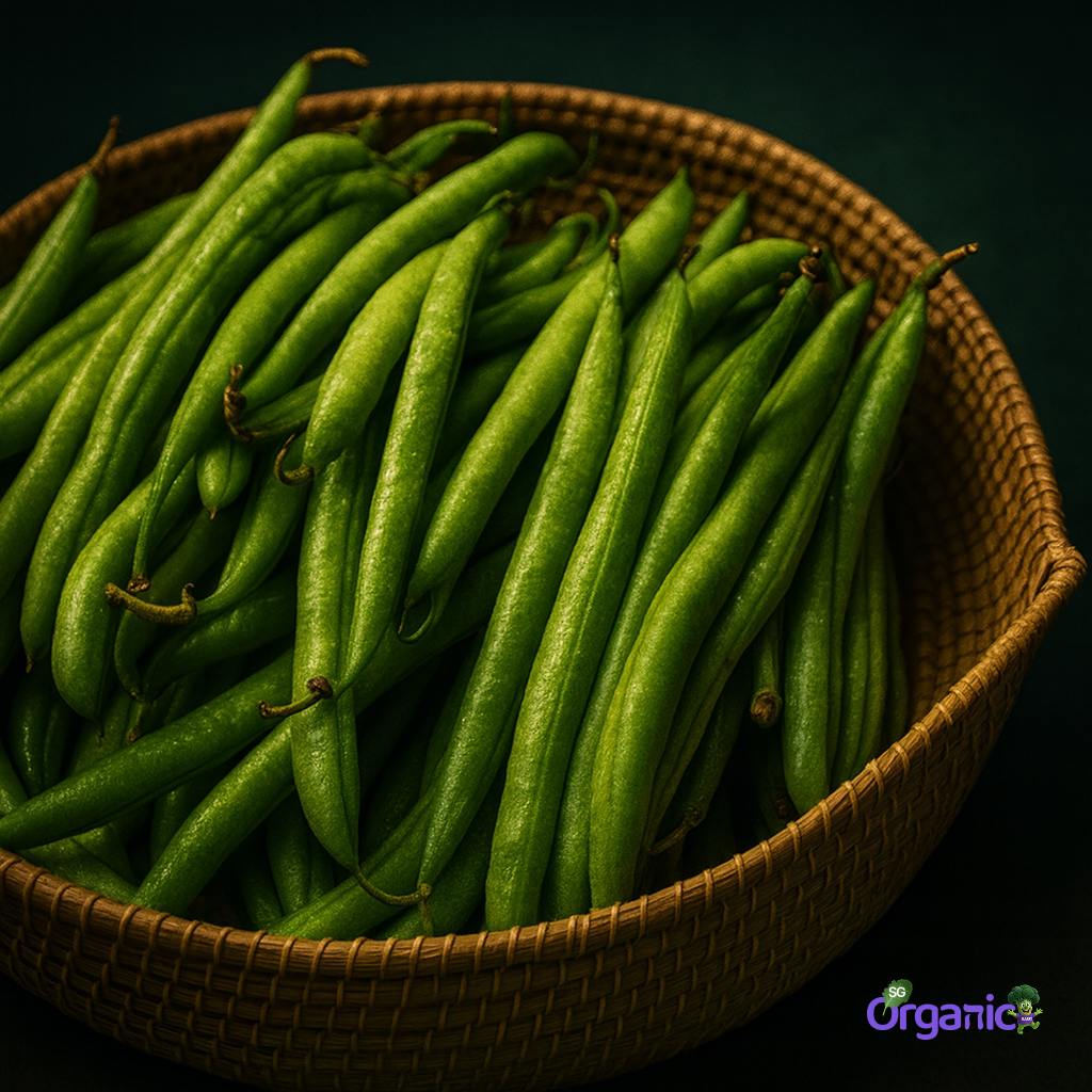 Organic Round Beans (250g) Australia