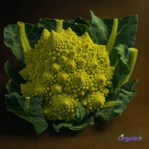 Organic Cauliflower - Romanesco (500g) Australia