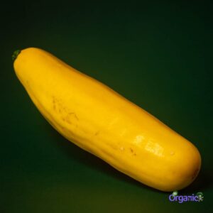 Organic Zucchini - Yellow (250g) Australia
